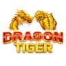 dragon-tiger-casin-loogo